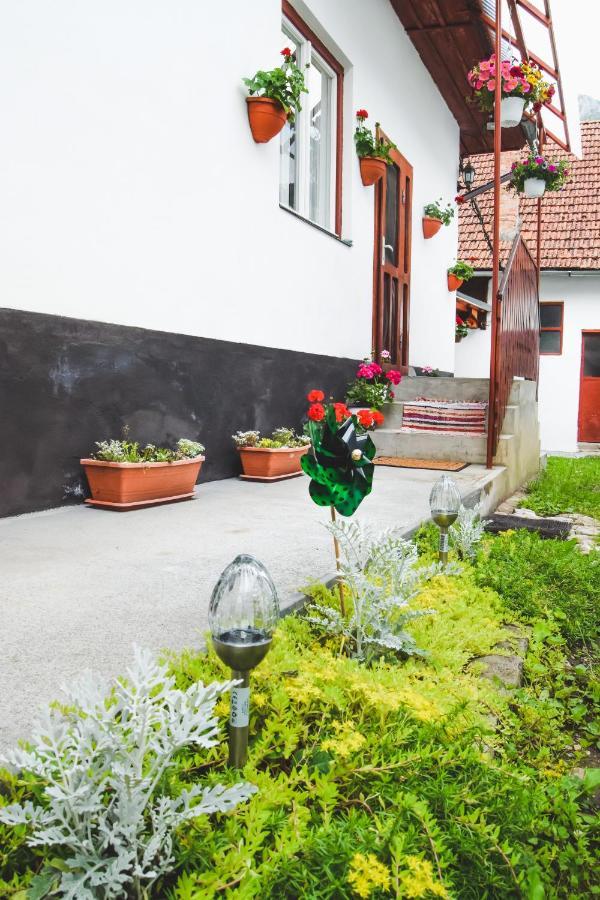 Casa De Vacanta Harsfa Vendeghaz Риметя Экстерьер фото