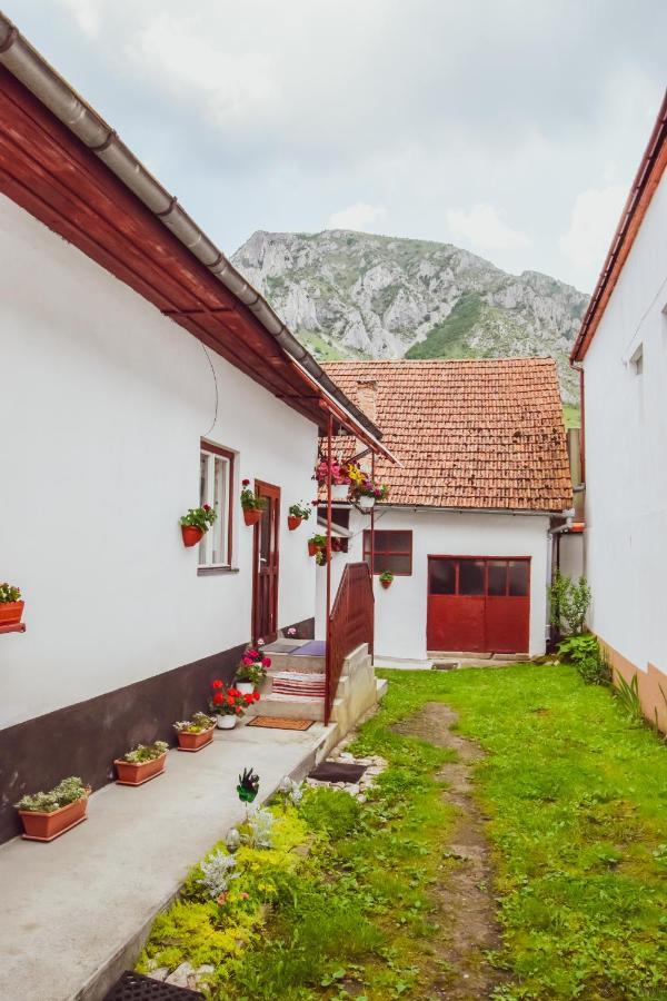 Casa De Vacanta Harsfa Vendeghaz Риметя Экстерьер фото